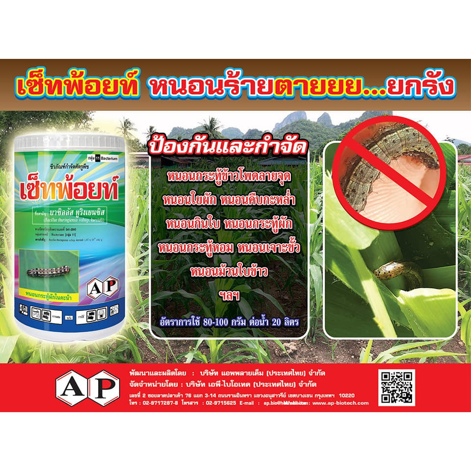 เซ็ทพ้อยท์-1kg-bt-เชื้อแบคทีเรีย-บาซิลลัส-ทูริงเยนซิส-สารกำจัดหนอน-สารชีวภัณฑ์-หนอนกระทู้ลายจุดข้าวโพด-หนอนใย