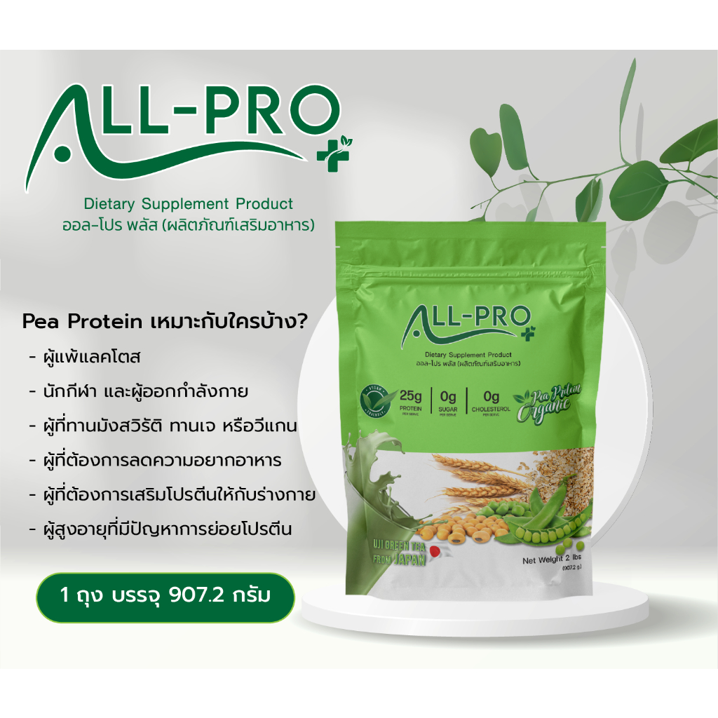 All Pro Plus 2 ถุงแถมเทสเตอร์ 5 ซอง โปรตีนพืชรสชาเขียว ทดแทนมื้ออาหาร ...