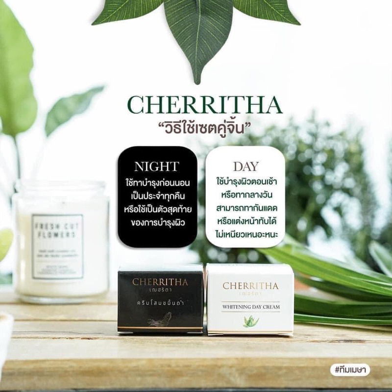 ครีมโสมเฌอริต้า-ครีมโสมขมิ้น-cherritha-ลดสิว-หน้าใส