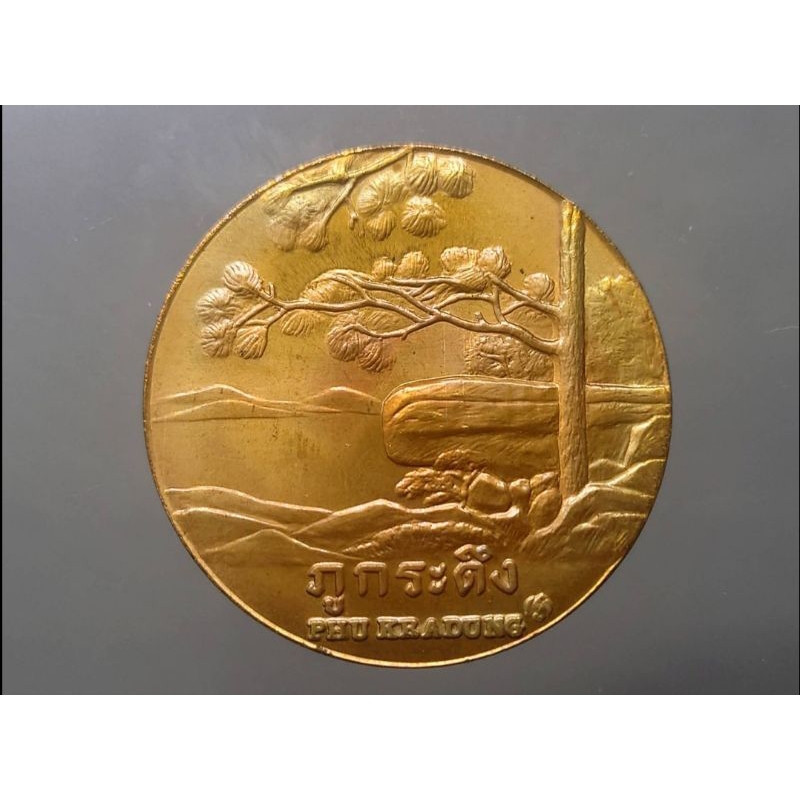 เหรียญที่ระลึก-เหรียญประจำจังหวัดเลย-ขนาด-4-เซ็น-เนื้อทองแดง-แท้-จากกรมธนารักษ์-ของสะสม-เหรียญ-จ-เลย