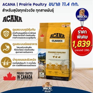 ACANA PRAIRIE POULTRY (Adult)Turkey,Eggs อาหารสุนัข ขนาด 11.4 กิโลกรัม