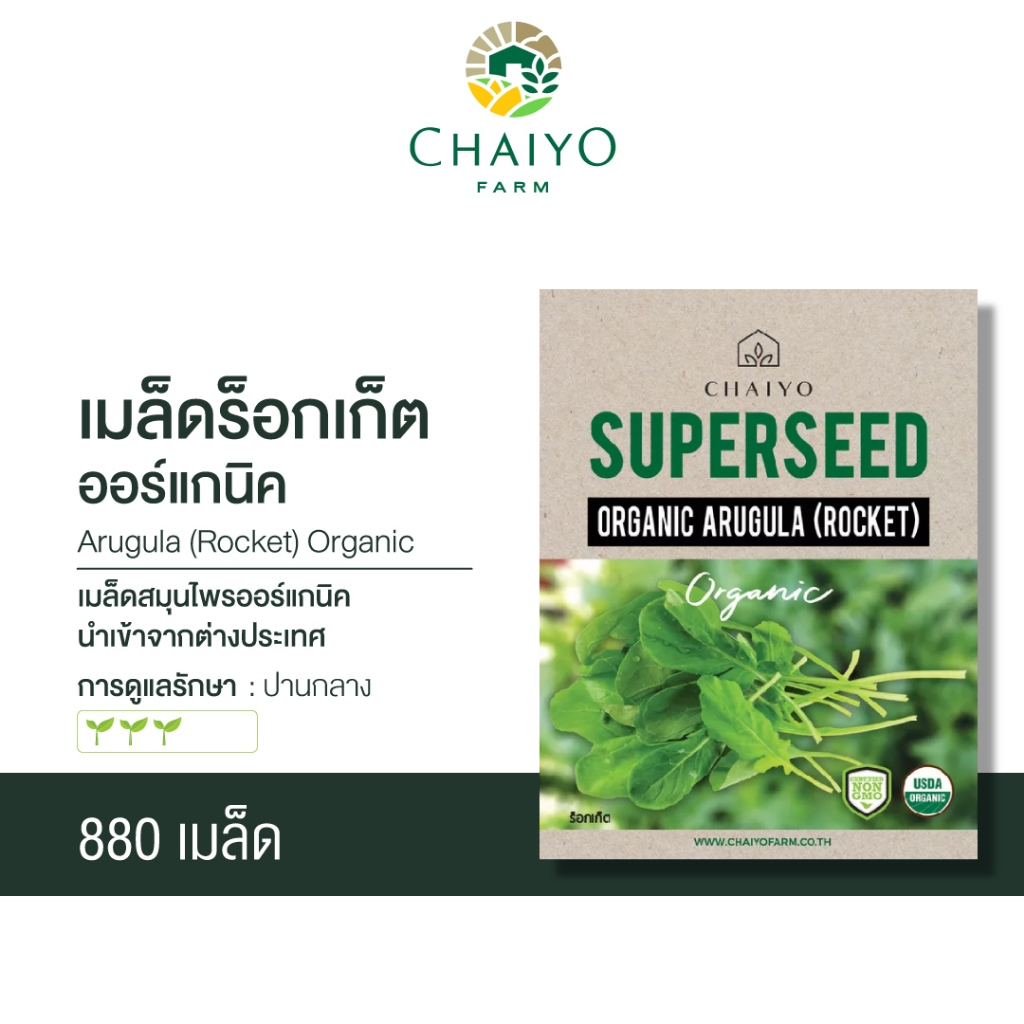 เมล็ด-arugula-rocket-organic-ร็อกเก็ต-ออร์แกนิค