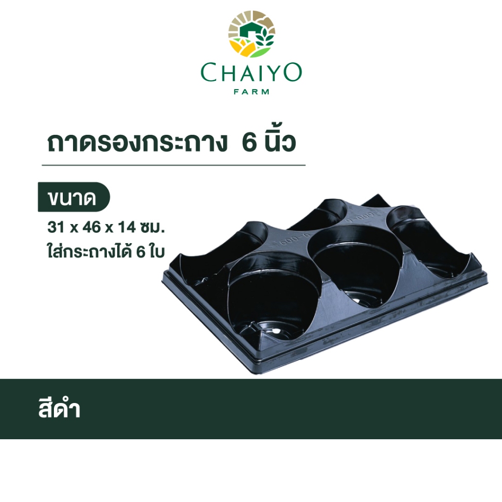 ถาดใส่กระถาง-6-นิ้ว-pot-pallet-for-150mm-pot-6-inches