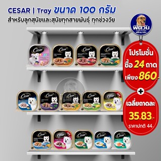 อาหารสุนัขถาด ซีซาร์ ขนาด 100 กรัม (x24ถาด)