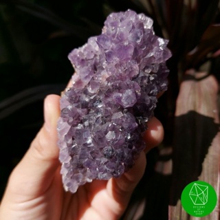 ผลึกอเมทิสต์ทรงพุ่มดอกไม้ (Amethyst stalactite)​