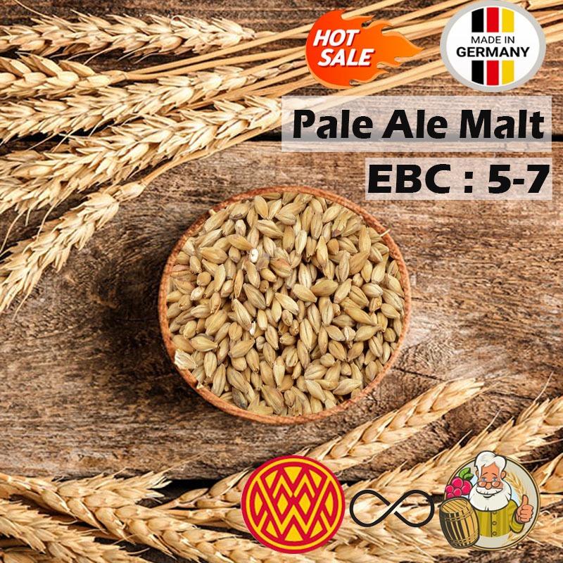 มอลต์ Pilsner, Wheat, Pale Ale, Vienna, MUNICH MALT TYPE 1, CARAPILS