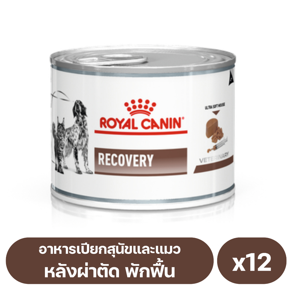 Royal canin hotsell recovery kitten