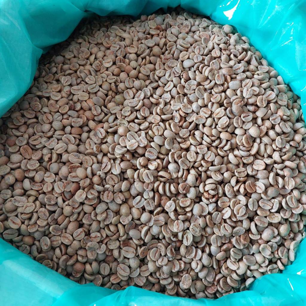 Pegasus Brazil Santos Green Coffee Bean สารกาแฟบราซิลซานโตส คัดพิเศษ ขนาด 1 กิโลกรัม Shopee