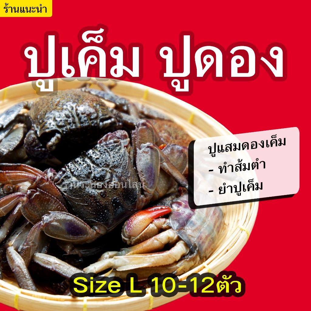 size