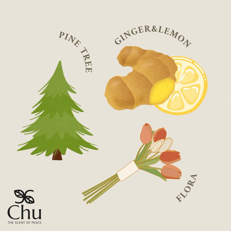 Chu Winter Pine Aroma Room Diffuser 50 ml. ก้านไม้หอมปรับอากาศ กลิ่นวิน ...