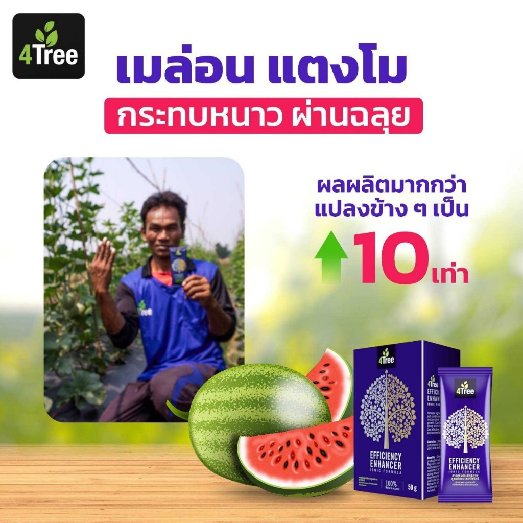 ช้อป 4tree ราคาสุดคุ้ม ได้ง่าย ๆ | Shopee Thailand