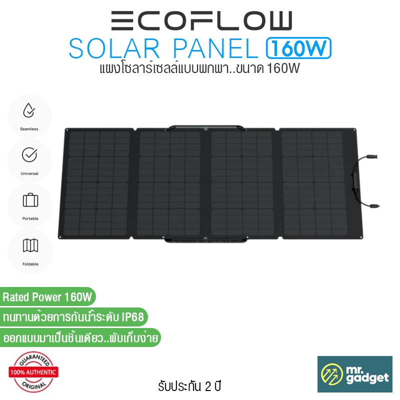 Ecoflow Portable Solar Panel 160w 160w