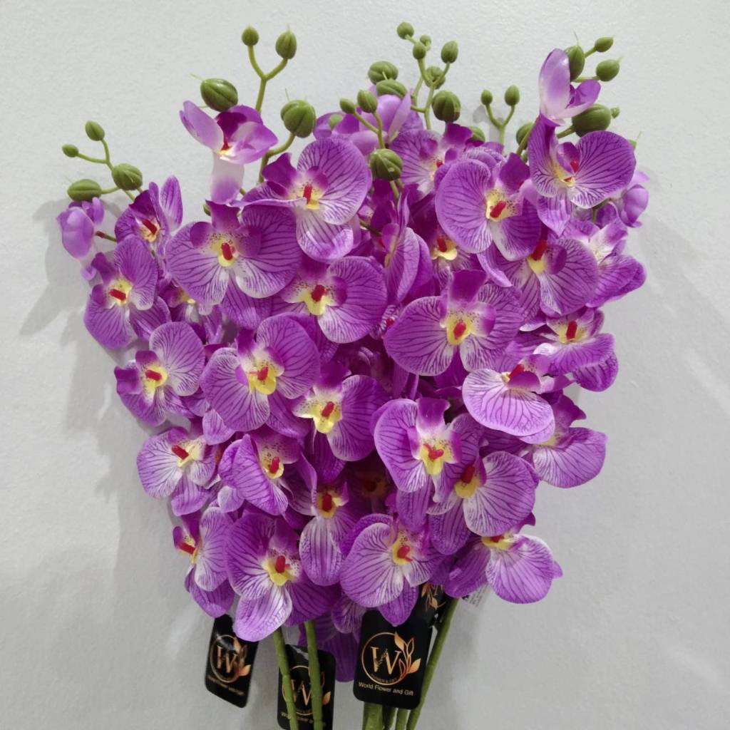 ดอกกล้วยไม้ สีม่วง ฟาแลนด์13ดอก ดอกบาน9 รวมดอกตูม4ดอก กล้วยไม้ ฟาแลนด์ ...