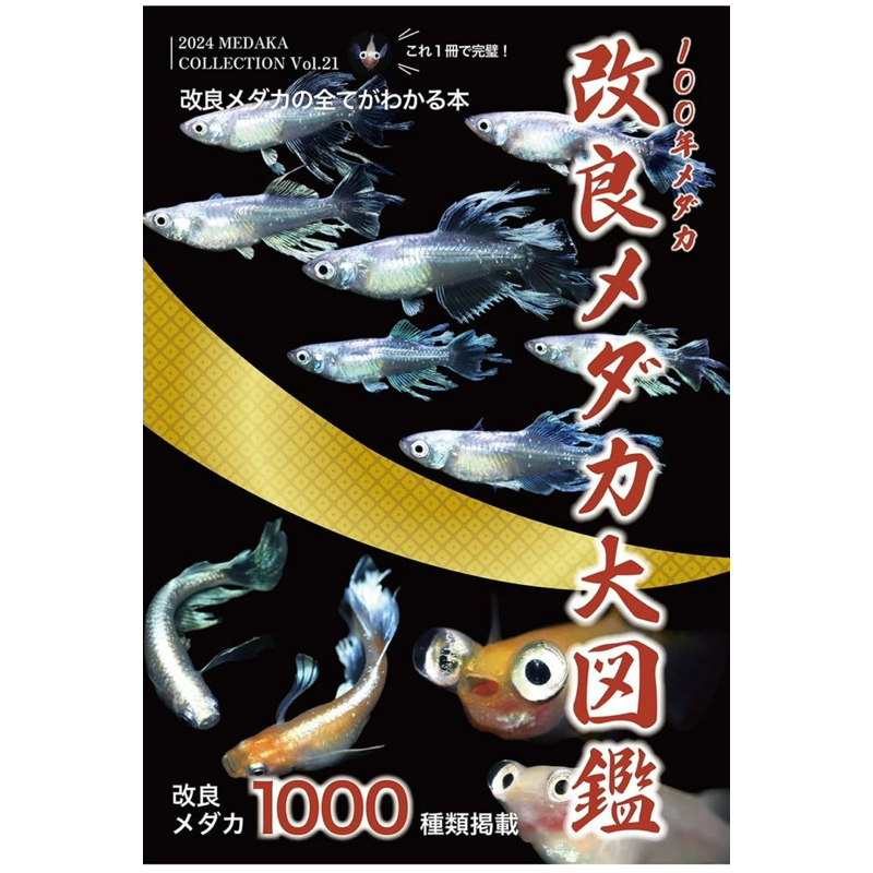 medaka-100-medaka-2024-vol-21-shopee