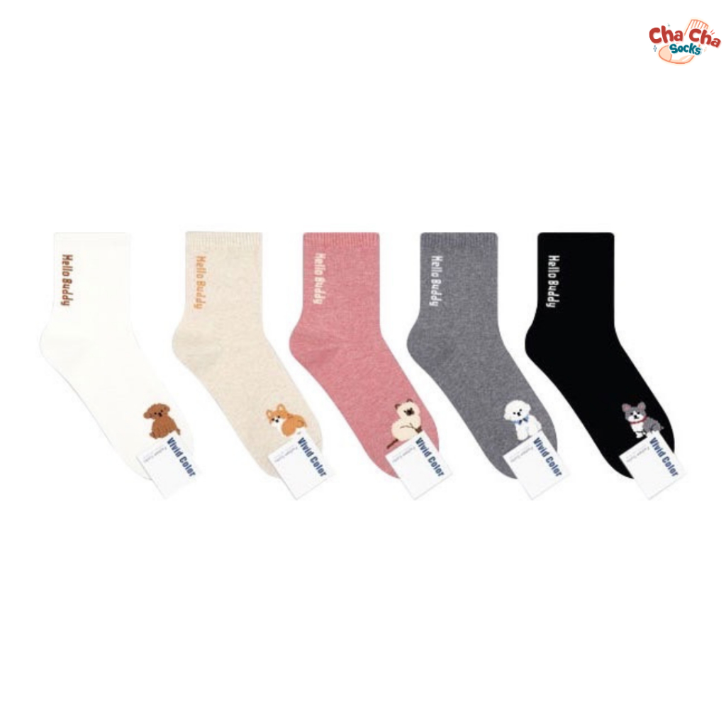 Chacha socks - ถุงเท้าข้อยาว Doggy Buddy Socks แบรนด์ Vivid Color ...