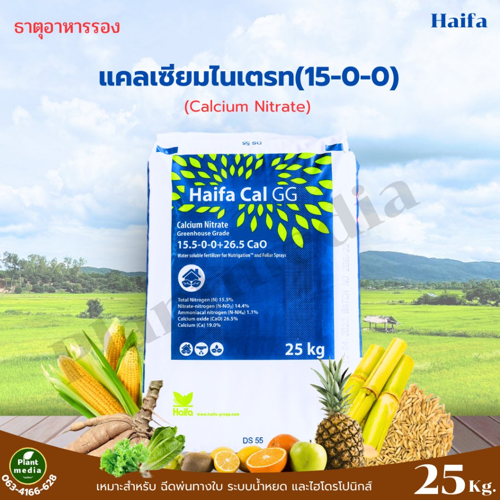 ปุ๋ย 15-0-0 +26.5CaO แคลเซียมไนเตรท Haifa-CAL GG บรรจุ 25 กิโลกรัม ...