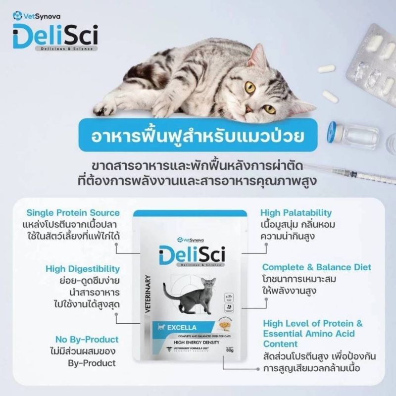 DeliSci Excella อาหารฟื้นฟูสําหรับสัตว์ป่วย ขาดสารอาหาร พักฟื้นหลังการ ...