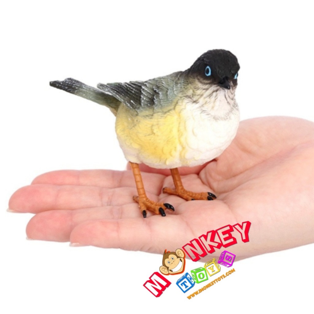Monkey Toys - โมเดลสัตว์ นก กระจิบ ขนาด 11.00 CM (จากหาดใหญ่) | Shopee ...