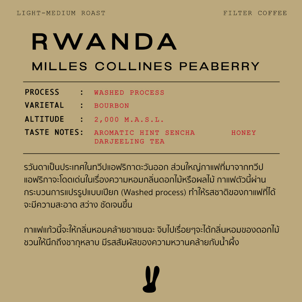 rwanda-milles-collines-peaberry-100g-เมล็ดกาแฟสำหรับชง-drip-filter-l-coffee-beans-l-casa-lapin-coffee-roasters