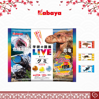 Kabaya Picture Book LIVE Gummy Drink 120g 0898