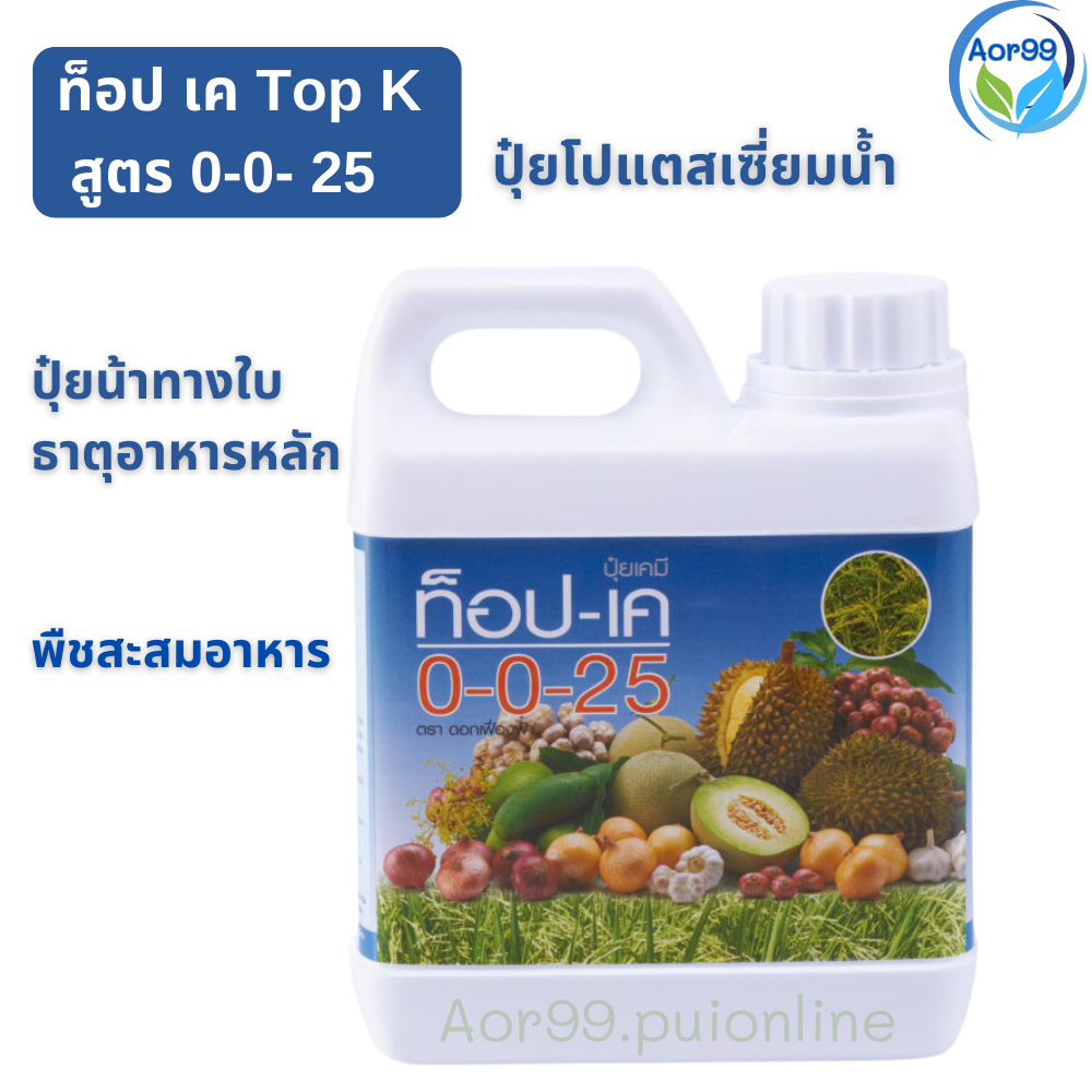 ปุ๋ย-ท็อป-เค-กิฟฟารีน-giffarine-top-k-ปุ๋ยโปแตสเซี่ยม-ปุ๋ยเร่งผล-เพิ่มความหวาน-บำรุงหัว-เร่งลงหัว-k-fertilizer-สวน-aor99