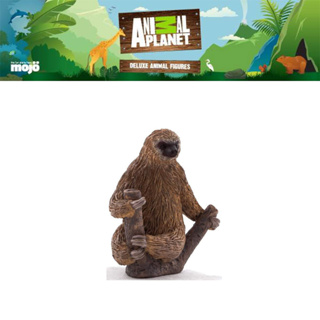 โมเดล ของเล่นเด็ก Animal Planet Model 387180P Two Toed Sloth