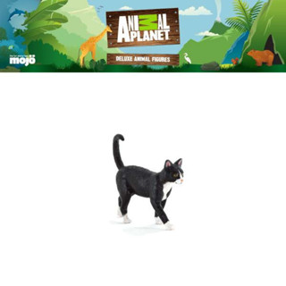 โมเดล ของเล่นเด็ก Animal Planet Model 387200P Cat