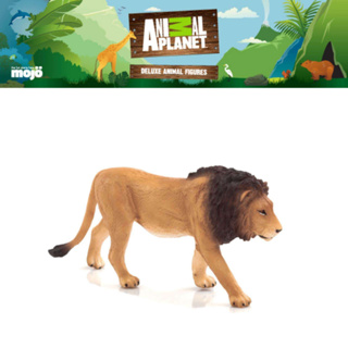 โมเดล ของเล่นเด็ก Animal Planet Model 387204P Male Lion