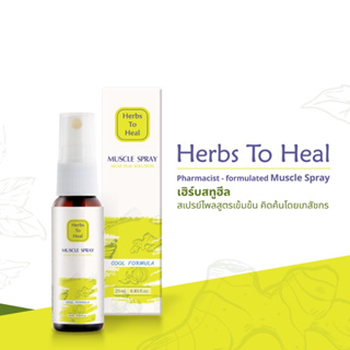สเปรย์ไพลเข้มข้นแก้ปวดกล้ามเนื้อ Herbs To Heal