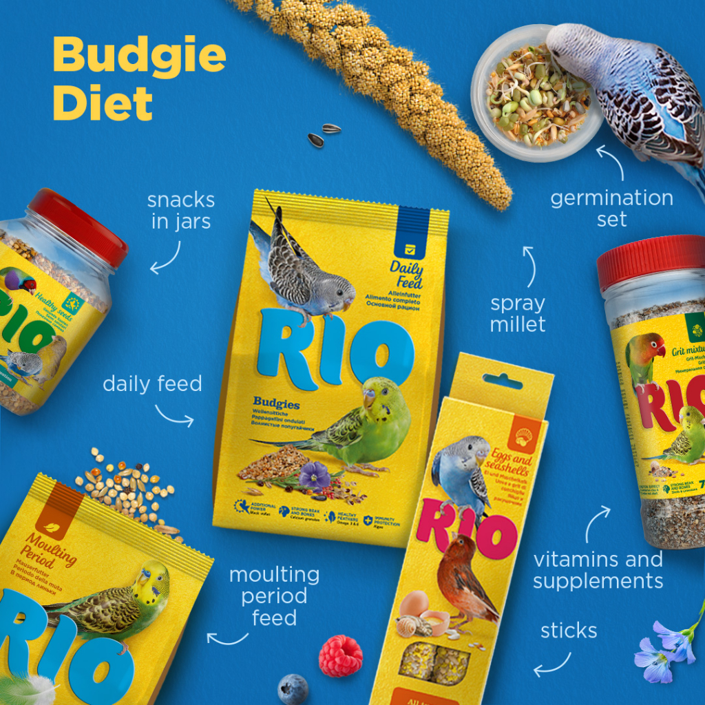 RIO ขนมนก สำหรับนกหงส์หยกและนกฟินซ์ | Shopee Thailand