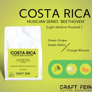 เมล็ดกาแฟ Musician Series “ Beethoven” (Costa Rica) ขนาด 100 - 200 กรัม  |  CRAFT FEIN