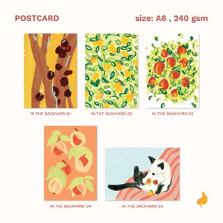 Postcard — In the backyard โปสการ์ด A6 🍎🍋🥭🥝 | a cat in my tummy