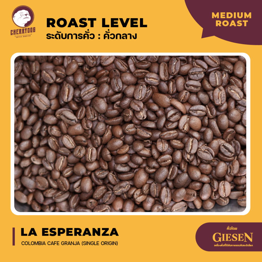 cherrydog-เมล็ดกาแฟ-คั่วกลาง-โคลัมเบีย-la-esperanza-ขนาด-200g-500g-1kg-single-origin-espresso