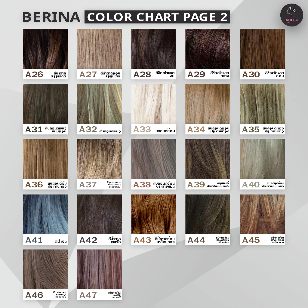 เบอริน่า-เซตสี-berina-a14-a38-สีน้ำตาลประกายม่วง-สีย้อมผม-สีผมเบอริน่า-ครีมย้อมผม-ยาย้อมผม-berina-brown-violet-color