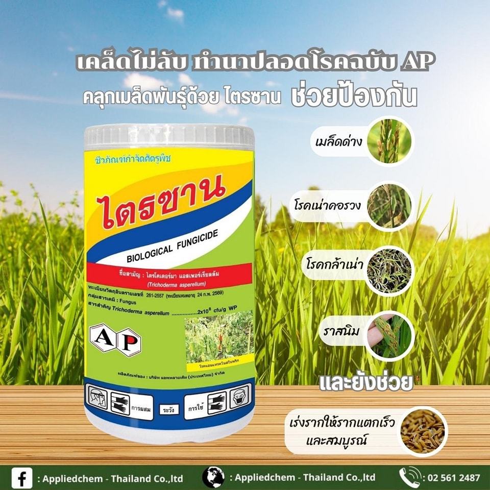 ไตรซาน-1kg-เชื้อราไตรโคเดอร์ม่า-ฮาเซียนั่ม-สารกำจัดเชื้อรา-โรครากเน่าโคนเน่า-สารชีวภัณฑ์กำจัดโรคพืช