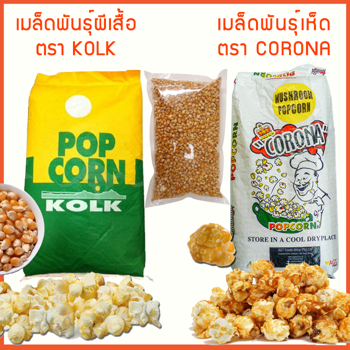 เมล็ดป๊อปคอร์น-มี-2-พันธุ์-ผีเสื้อ-เห็ด-500-ก-1-000-ก-popcorn-เมล็ดข้าวโพด-เมล็ดทำข้าวโพดคั่วเกรด-a