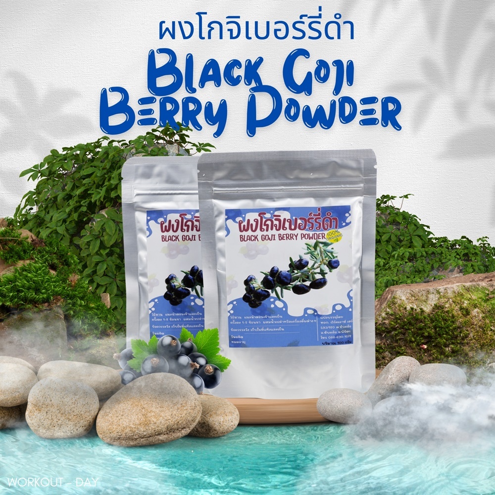 ผงโกจิเบอร์รี่ สีดำ Black Goji Berry ขนาด100กรัม | Shopee Thailand