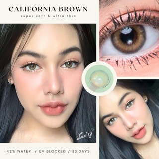 🔥คอนแทคเลนส์✨ขนาดมินิ✨Brown / Gray✨California (Luxzylens)