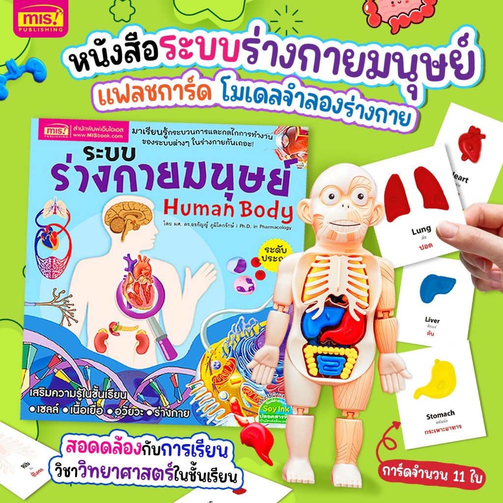 นังสือระบบร่างกายมนุษย์ ระดับประถม พร้อมโมเดลร่างกายมนุษย์ Human Body ...