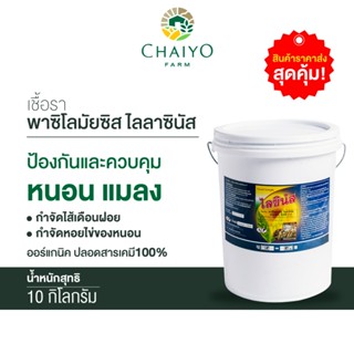 ชีวภัณฑ์ กำจัดแมลง ออร์แกนิคไลซินัส เชื้อรา พาซิโลมัยซิส ไลลาซินัส 10 กิโลกรัม