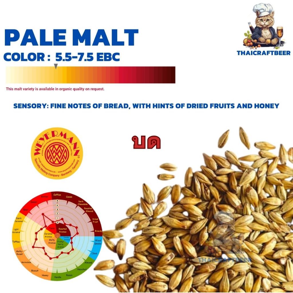มอลต์ ทำเบียร์ WEYERMANN Pale Ale Malt / Wheat Malt / Pilsner Malt