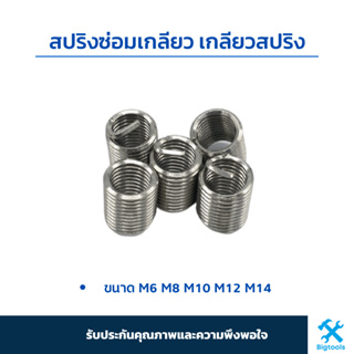 ภาพหน้าปกสินค้าสปริงซ่อมเกลียว เกลียวสปริง (M6/M8/M10/M12/M14) เบอร์10,12,14,17,22 ตัวหนอนทำเกลียว ตัวหนอนซ่อมเกลียว ซ่อมเกลียว ที่เกี่ยวข้อง