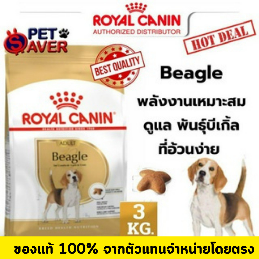 Royal canin beagle 3kg sales
