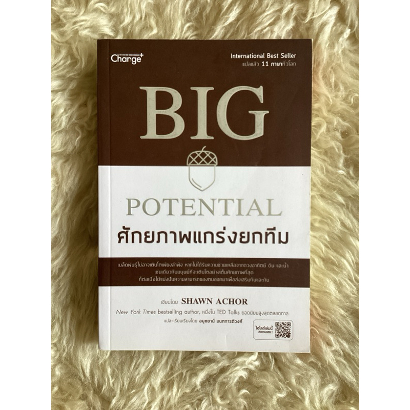 หนังสือศักยภาพแกร่งยกทีมBig Potential/shawn achor | Shopee Thailand