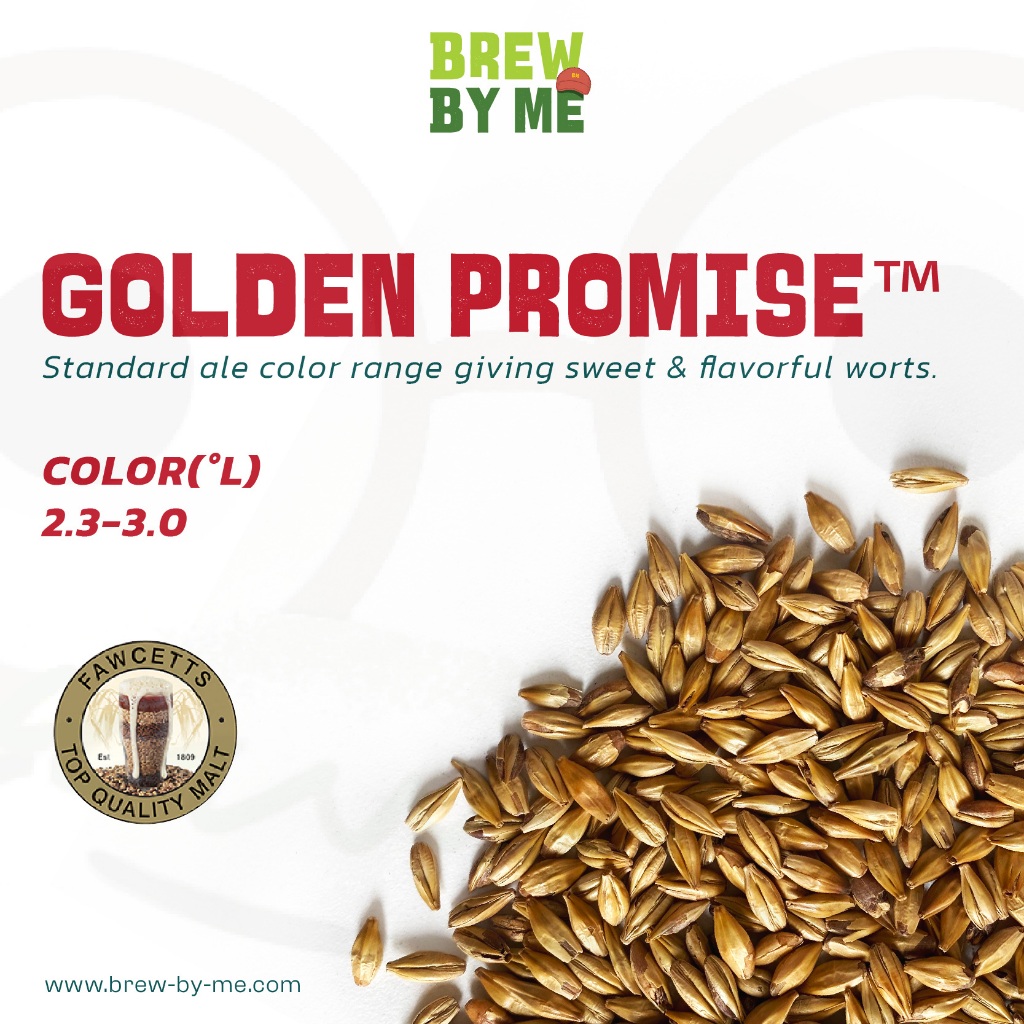 มอลต์ Golden Promise ™ Pale Ale Malt Thomas Fawcett malt ทำเบียร์