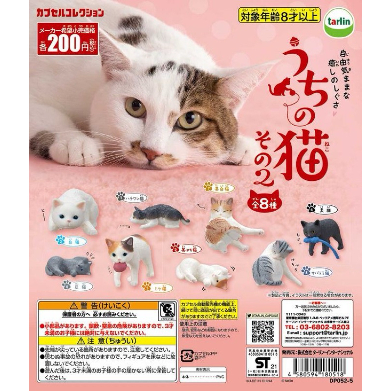 **พร้อมส่ง** กาชาปองน้องแมว my cat v.2 ของแท้