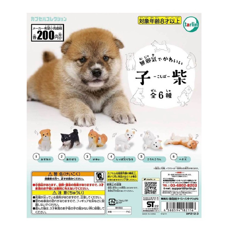 **พร้อมส่ง** กาชาปองน้องหมาชิบะน่ารักของแท้