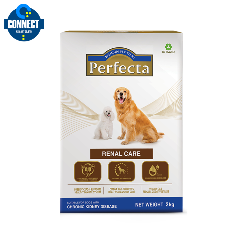 Perfecta Dog Food อาหารสุนัขสูตรรักษา โรคไต ผิวแพ้ง่าย ควบคุมน้ำหนัก ...