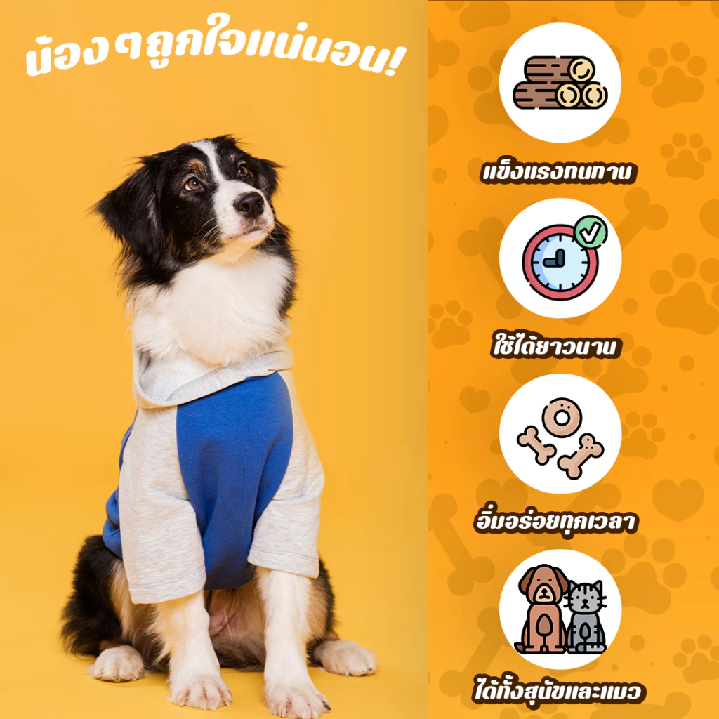 แผ่นลับเล็บสุนัข สำหรับดูแลเล็บสัตว์เลี้ยง ลับเล็บสุนัขไม่ให้คม SP414