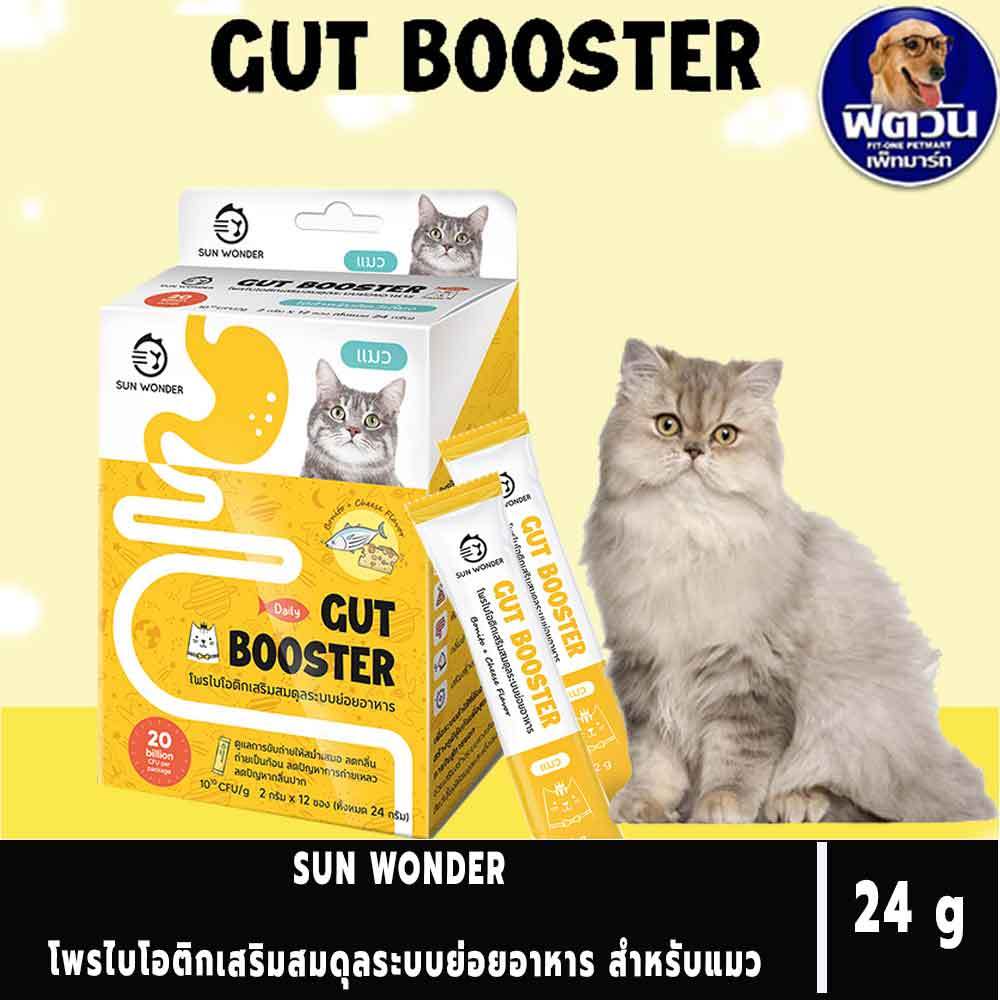 SUN WONDER GUT BOOSTER อาหารเสริมโพรไบโอติกเสริมสมดุลระบบย่อยอาหาร สูตร ...